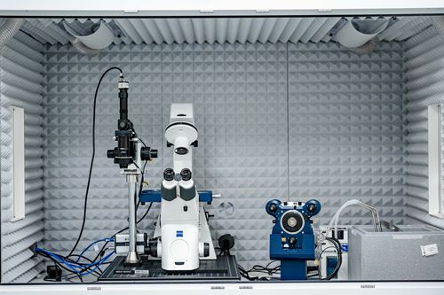 Атомно-силовой микроскоп. Фото предоставлено пресс-службой «Сириуса»